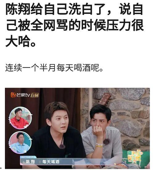 陈翔爆料视频大全最新,揭秘娱乐圈不为人知的幕后故事  第3张